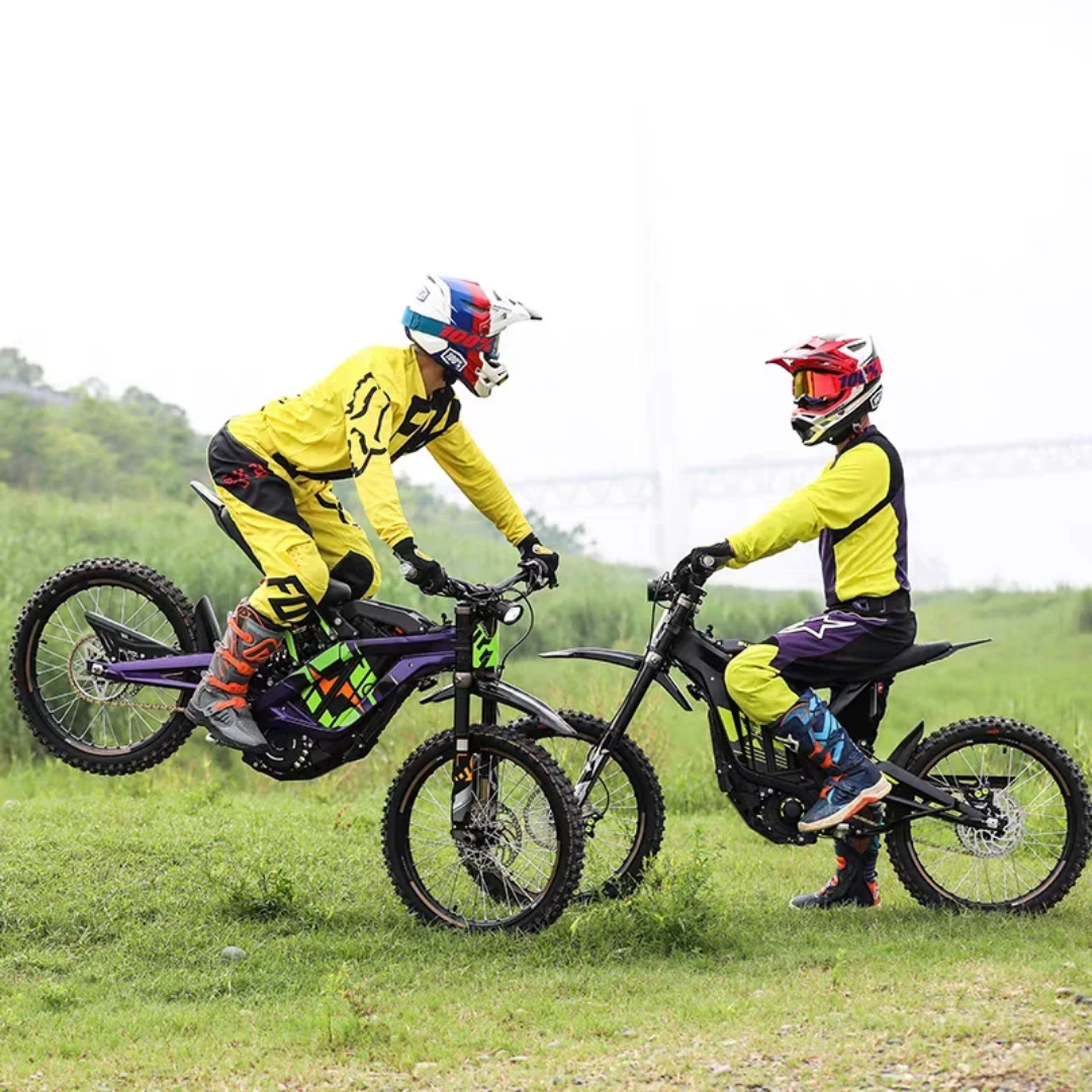 2025 Stock Surron Light Bee X