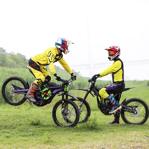 2025 Stock Surron Light Bee X