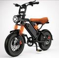 Pedal Assist E-Bike