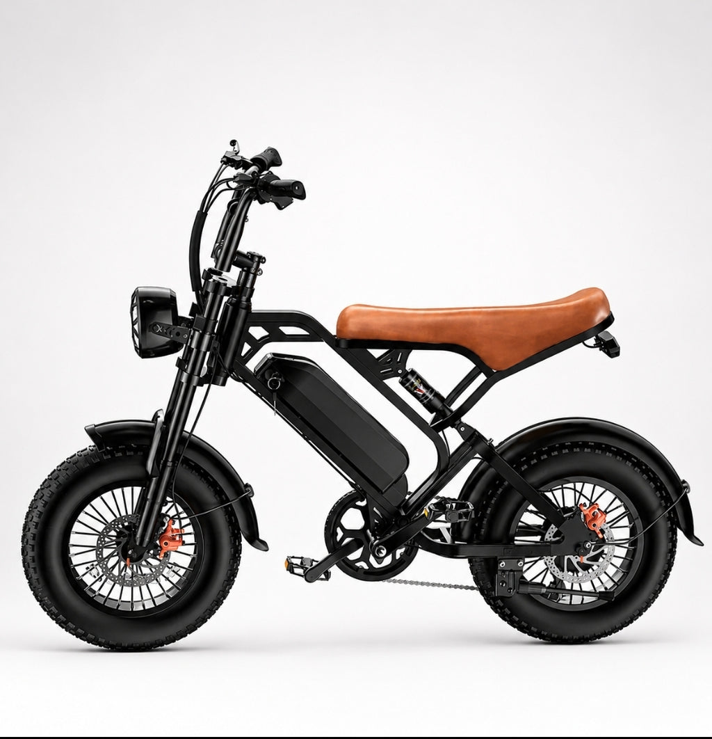 Pedal Assist E-Bike